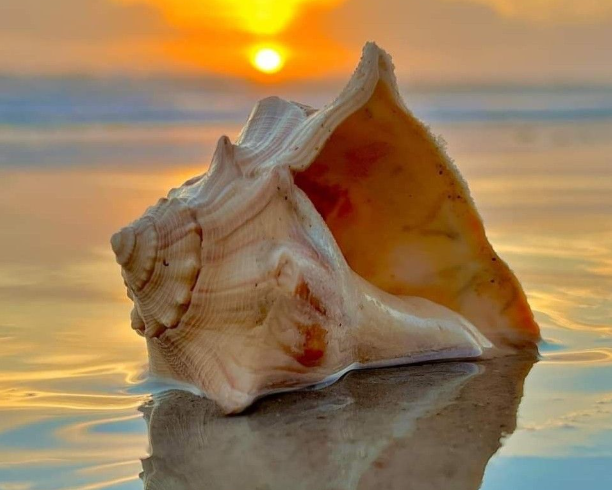 Το καλοκαίρι που μας ζητά να ακούσουμε τον εαυτό μας