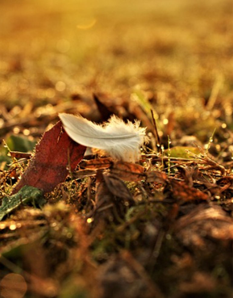 Πένθος και Απώλεια