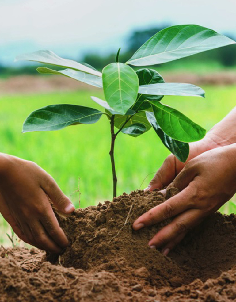Συμβουλευτική Εφήβων